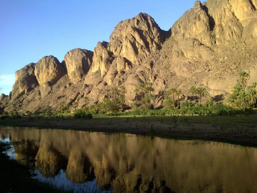 Palm trees reflected in an oasis