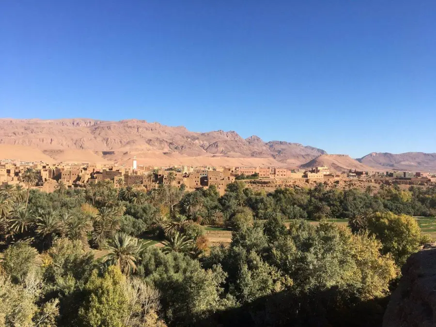 The palm groves of Tinghir